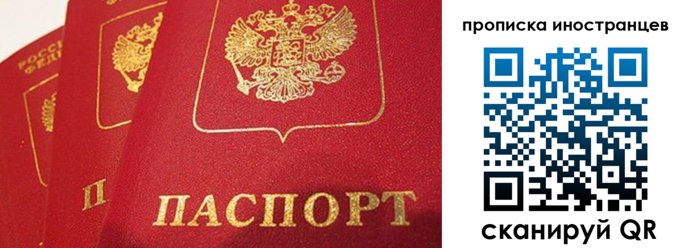 прописка поиск в Яровом